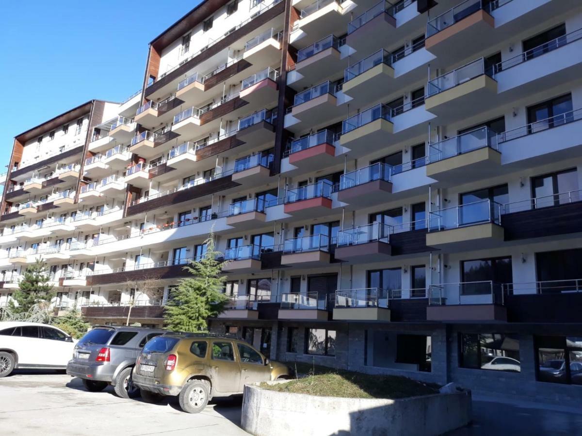 Ripsime Colina Marei Sinaia