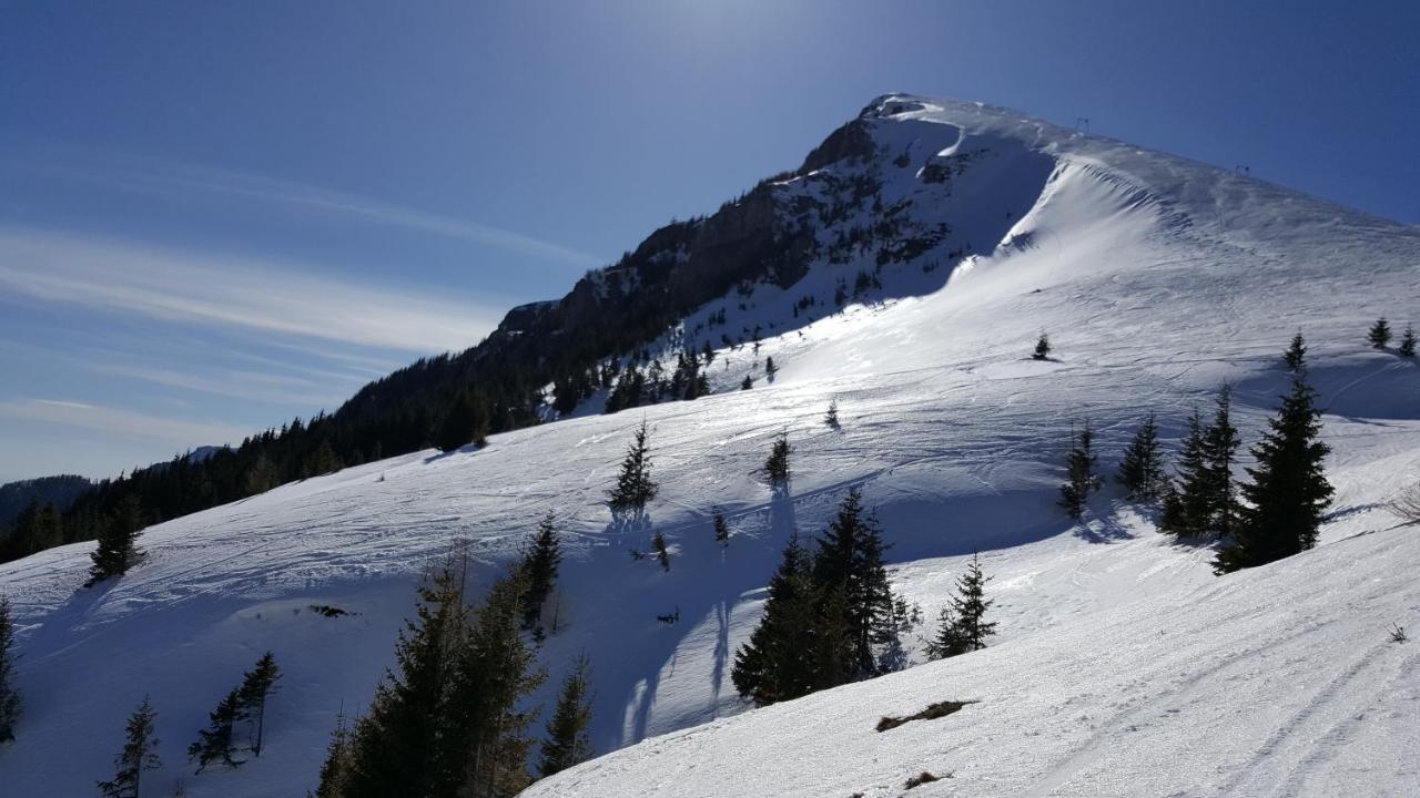 Ripsime Colina Marei Apartament Sinaia